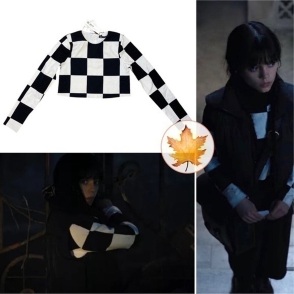 Zara Monochrome Checkered Crop Top